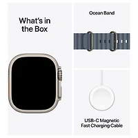 Apple Watch Ultra 3 (GPS + Cellular) 49mm Natural Titanium Case with Anchor Blue Ocean Band