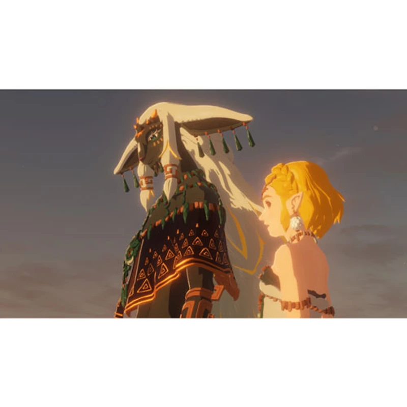 Hyrule Warriors: Age of Imprisonment (Switch 2)