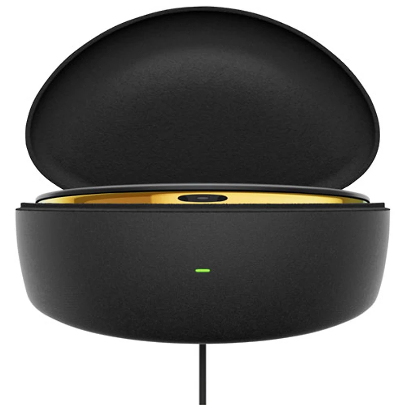Lunettes Oakley Meta Vanguard avec Meta AI et compatibilité audio, photo et vidéo - Noir/Prizm 24K