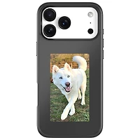 Incase Transfer E-Display Fitted Hard Shell Case with MagSafe for iPhone 17 Pro Max - Black