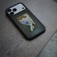 Incase Transfer E-Display Fitted Hard Shell Case with MagSafe for iPhone 17 Pro Max - Black