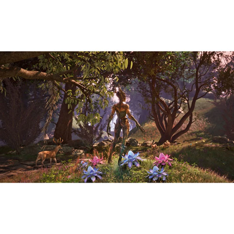The Elder Scrolls IV: Oblivion Remastered édition de luxe (PS5)