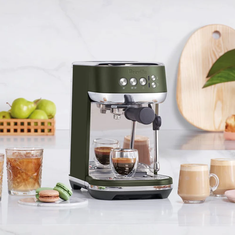 Remis à neuf (Bon état) - Machine à espresso automatique Bambino Plus de Breville - Tapenade d'olive - Remis à neuf par Breville