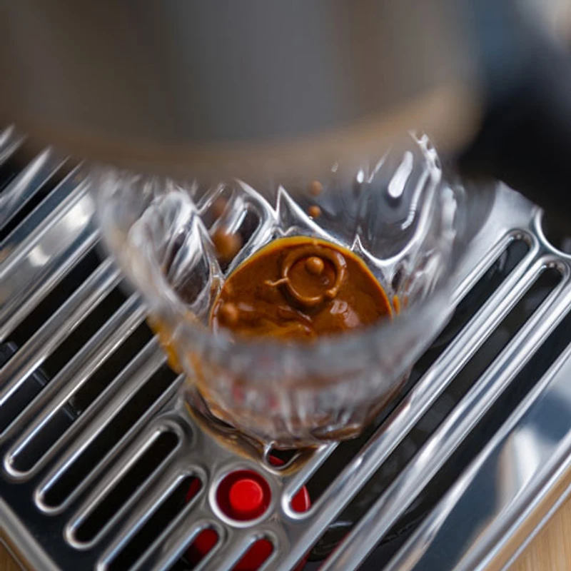 Remis à neuf (Bon état) - Machine à espresso automatique Bambino Plus de Breville - Tapenade d'olive - Remis à neuf par Breville