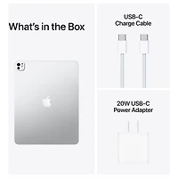 Apple iPad Pro M5 13" 256GB with Wi-Fi (8th Generation) - Space Black
