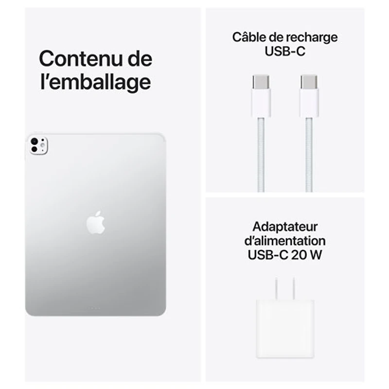 Apple iPad Pro M5 13" 256GB with Wi-Fi (8th Generation) - Space Black