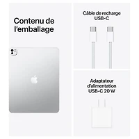 Apple iPad Pro M5 13" 256GB with Wi-Fi (8th Generation) - Space Black