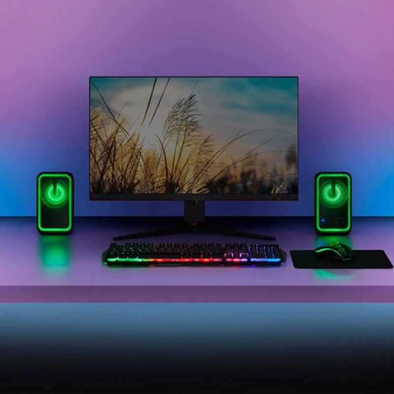 Système de haut-parleurs d'ordinateur Bluetooth 2.0 d'Insignia - Exclusivité Best Buy