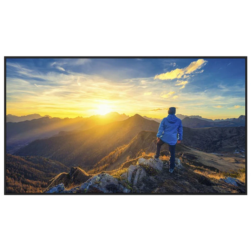Sharp 86" PN-E Series 4K UHD Commercial Display (PN-E869)