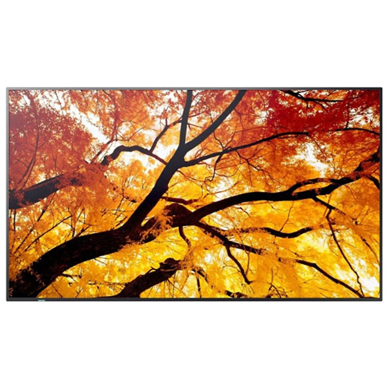 Sharp 32" PN-M Series FHD HDR Commercial Display (PN-M322)