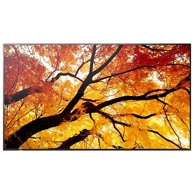 Sharp 32" PN-M Series FHD HDR Commercial Display (PN-M322)