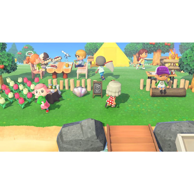Animal Crossing: New Horizons - Nintendo Switch 2 Edition (Switch 2)