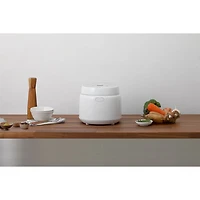 Panasonic Rice Cooker - 10-Cup