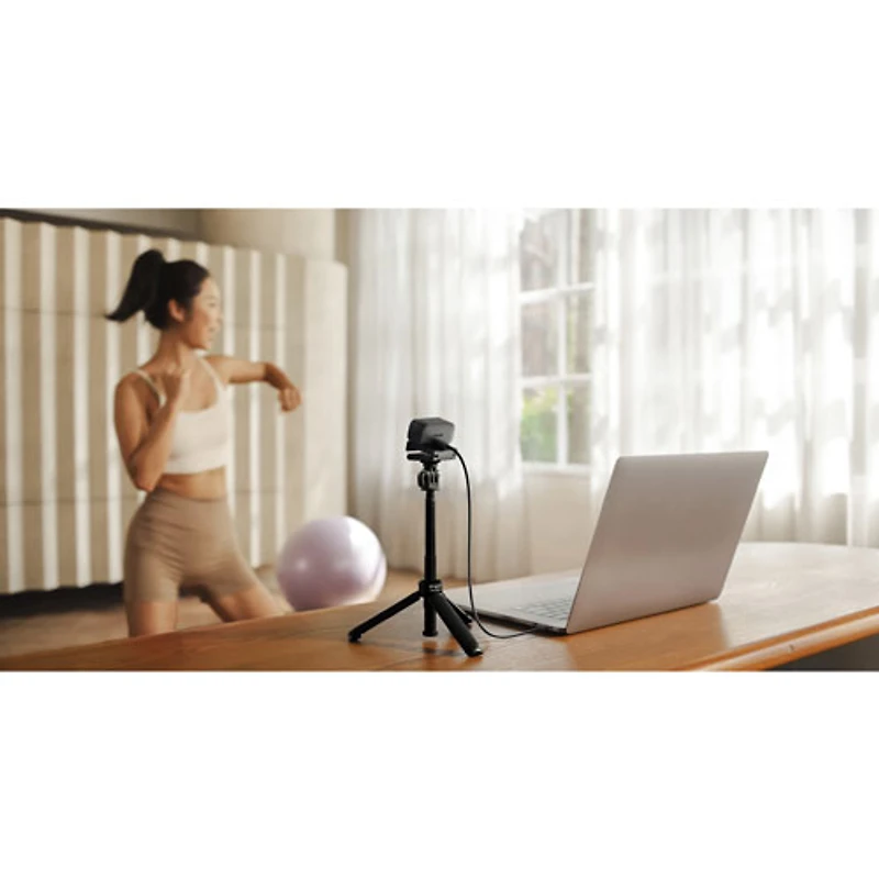 Caméra Web Link 2C 4K d'Insta360 - Noir