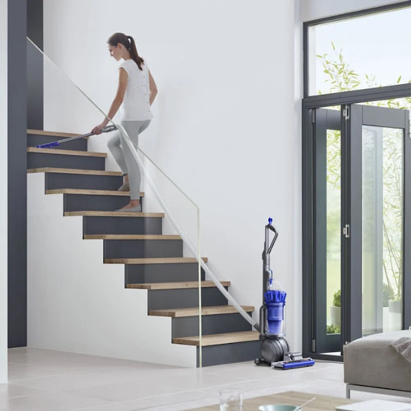 Dyson Ball Animal UP20 Bagless Upright Vacuum - Blue/Moulded Blue