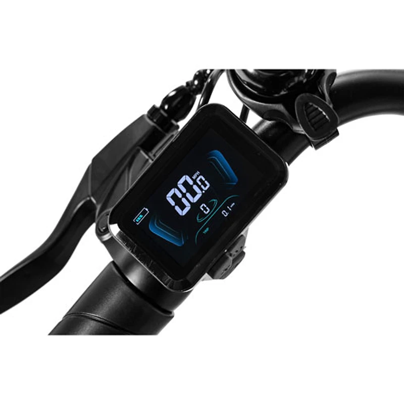 Vélo de ville électrique GoVelo de GoPowerBike (moteur 500 W/autonomie maximale 80 km/vitesse maximale 32 km/h)