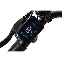 Vélo de ville électrique GoVelo de GoPowerBike (moteur 500 W/autonomie maximale 80 km/vitesse maximale 32 km/h)