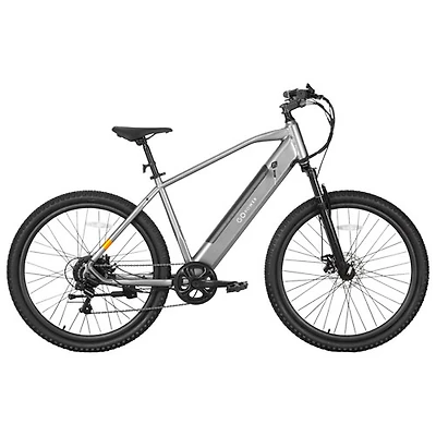 Vélo de ville électrique GoScout de GoPowerBike (moteur 500 W/autonomie jusqu'à 72 km/vitesse maximale 32 km/h) - Argenté