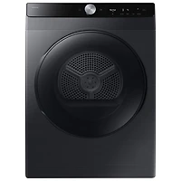 Sécheuse électrique de 4 pi³ de Samsung (DV25FG60BVBBAC) - Noir