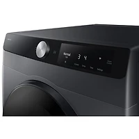 Sécheuse électrique de 4 pi³ de Samsung (DV25FG60BVBBAC) - Noir