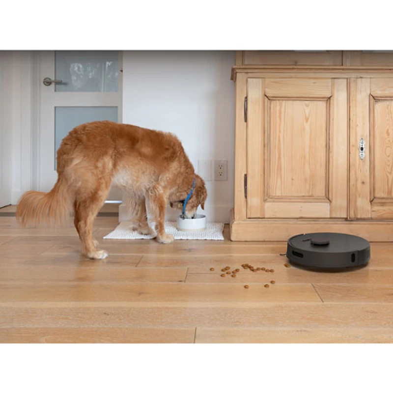 bObsweep Bio WiFi Connected Self-Empty Robot Vacuum & Mop - Rock - Only at Best Buy