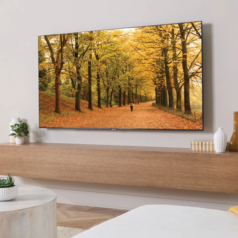 SANUS Elite 65" - 140" Fixed TV Wall Mount