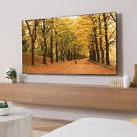 SANUS Elite 65" - 140" Fixed TV Wall Mount