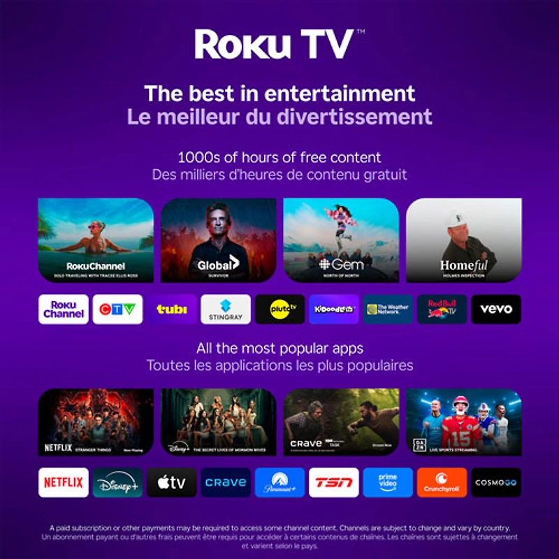 Roku 40" Select Series 1080p HD LED Roku Smart TV (40R3E5CA)
