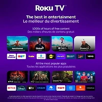 Roku 40" Select Series 1080p HD LED Roku Smart TV (40R3E5CA)