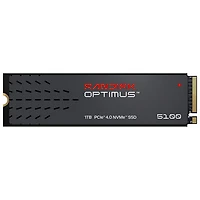 Sandisk Optimus 5100 1TB NVMe PCIe Internal Solid State Drive (SDSP51100TAN-000E0)