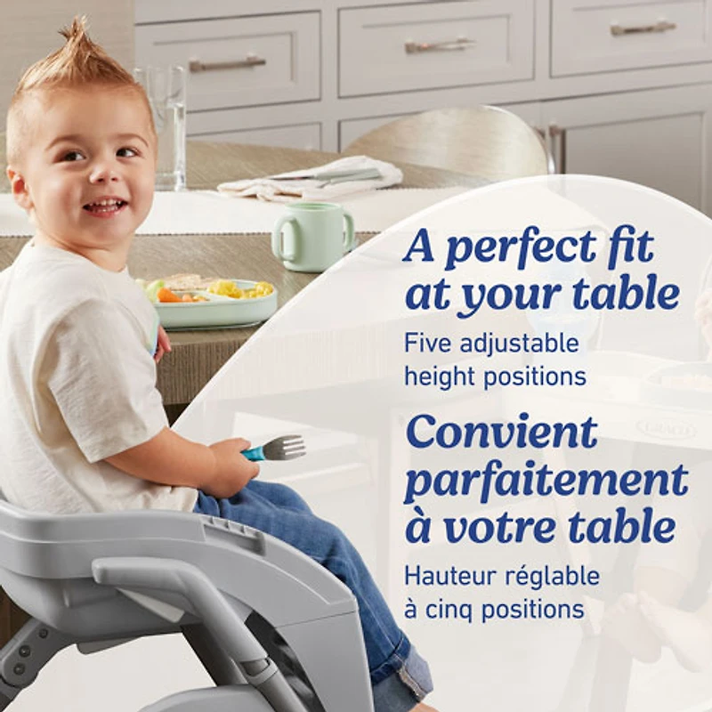 Graco DuoDiner DLX 6-in-1 High Chair - Arlo