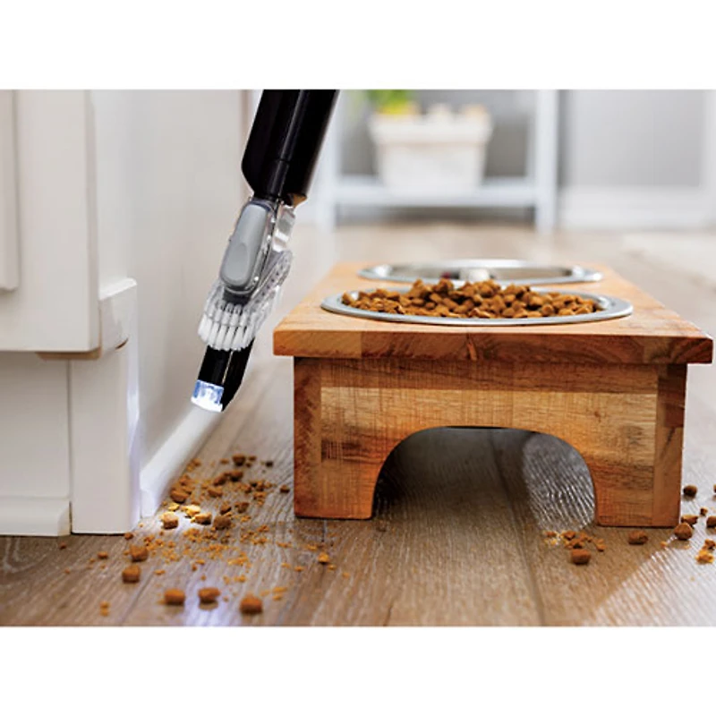 Aspirateur vertical SurfaceSense Allergen Lift-Off de Bissell