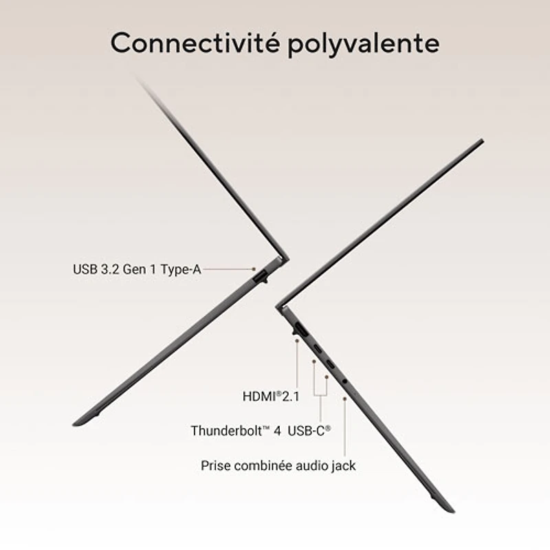 ASUS Zenbook S14 14" Touchscreen Laptop - Antrim Grey (Intel Core Ultra 9 386H/32GB RAM/1TB SSD/Windows 11 Home)