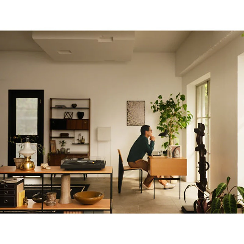 Tourne-disque USB Bluetooth à courroie PSLX5BT de Sony