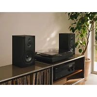 Tourne-disque USB Bluetooth à courroie PSLX5BT de Sony