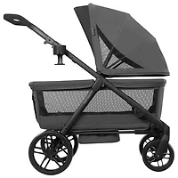 Evenflo OmniCrew 3-in1 Double Stroller Wagon - Oyster Grey