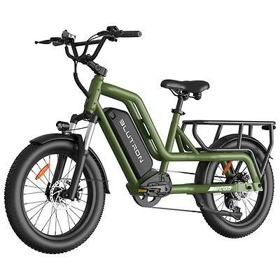 Vélo électrique de transport SCG5 de Blutron (moteur 500 W/autonomie maximale 90 km/vitesse maximale 32 km/h) - Vert olive