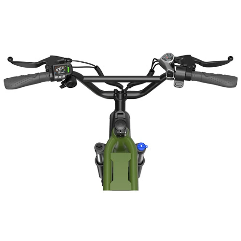 Vélo électrique de transport SCG5 de Blutron (moteur 500 W/autonomie maximale 90 km/vitesse maximale 32 km/h) - Vert olive