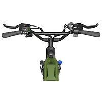 Vélo électrique de transport SCG5 de Blutron (moteur 500 W/autonomie maximale 90 km/vitesse maximale 32 km/h) - Vert olive
