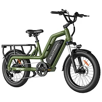 Blutron SCG5 Cargo Electric Bike (500W Motor / 90km Battery Range / 32km/h Top Speed) - Olive Green