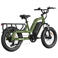 Vélo électrique de transport SCG5 de Blutron (moteur 500 W/autonomie maximale 90 km/vitesse maximale 32 km/h) - Vert olive