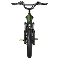 Vélo électrique de transport SCG5 de Blutron (moteur 500 W/autonomie maximale 90 km/vitesse maximale 32 km/h) - Vert olive