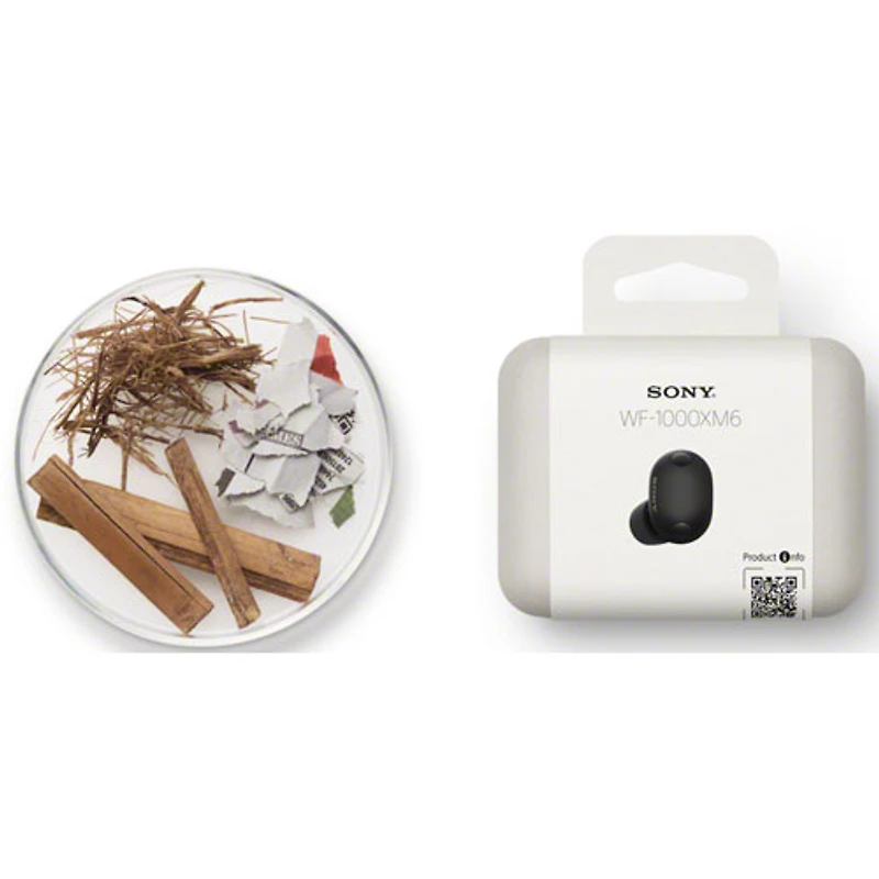 Sony WF-1000XM6 In-Ear Noise Cancelling True Wireless Earbuds - Black