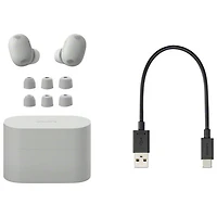 Sony WF-1000XM6 In-Ear Noise Cancelling True Wireless Earbuds - Silver