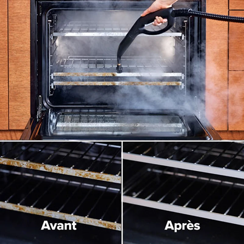 Dupray Neat Steam Cleaner with 17-Piece Kit (DUP020WNA)