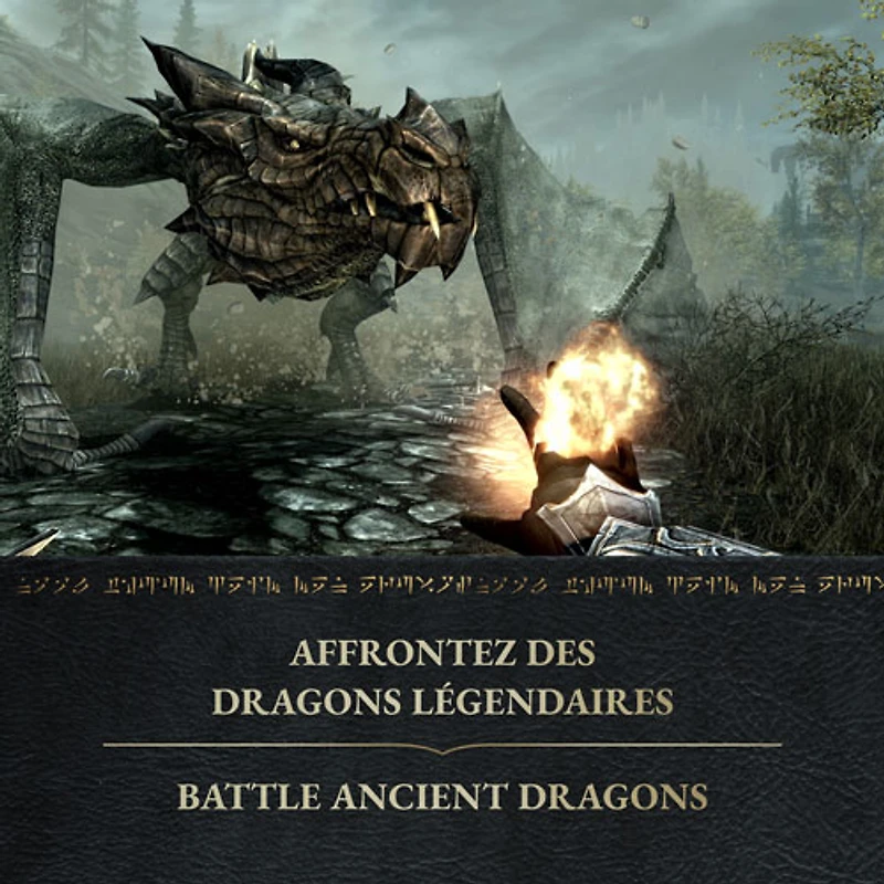 The Elder Scrolls V: Skyrim Anniversary Edition (Switch 2)