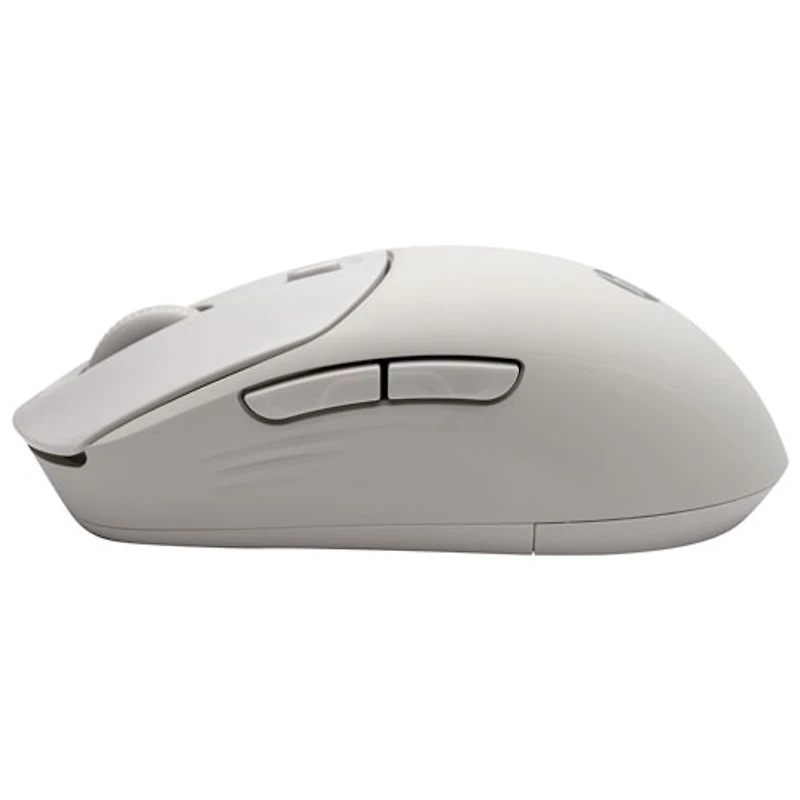 Souris optique sans fil silencieuse de 6000 ppp 400 de HP - Érable