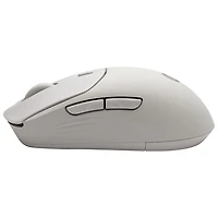 Souris optique sans fil silencieuse de 6000 ppp 400 de HP - Érable