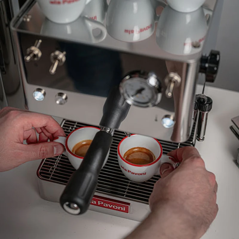 Machine à espresso manuelle en acier Casa Bar de La Pavoni avec moussoir - Acier inoxydable