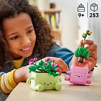 LEGO Botanicals : Les plantes oscillantes - 253 pièces (11506)